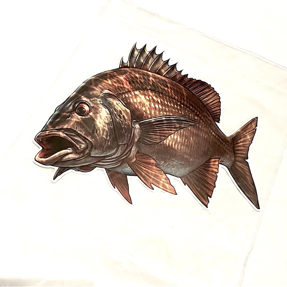NEW Large Mouth Fishing Fisherman Sport Big Catch Decal Sticker WaterProof PVC